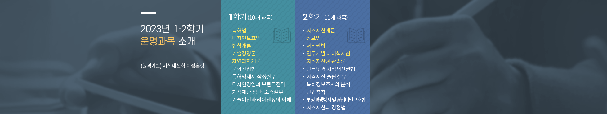 2022년 운영과목 소개 1학기(10개 과목) 필수과목:특허법, 디자인보호법, 법학개론, 기술경영론, 자연과학개론 선택과목:문화산업법, 특허명세서작성실무, 디자인경영과브랜드전략, 지식재산심판소송실무, 기술이전과라이센싱의이해 2학기(11개 과목) 필수과목:지식재산개론, 상표법, 저작권법, 연구개발과지식재산, 지식재산권관리론 선택과목:인터넷과지식재산권법, 지식재산출원실무, 특허정보조사와분석, 민법총칙, 부정경쟁방지및영업비밀보호법, 지식재산과경쟁법